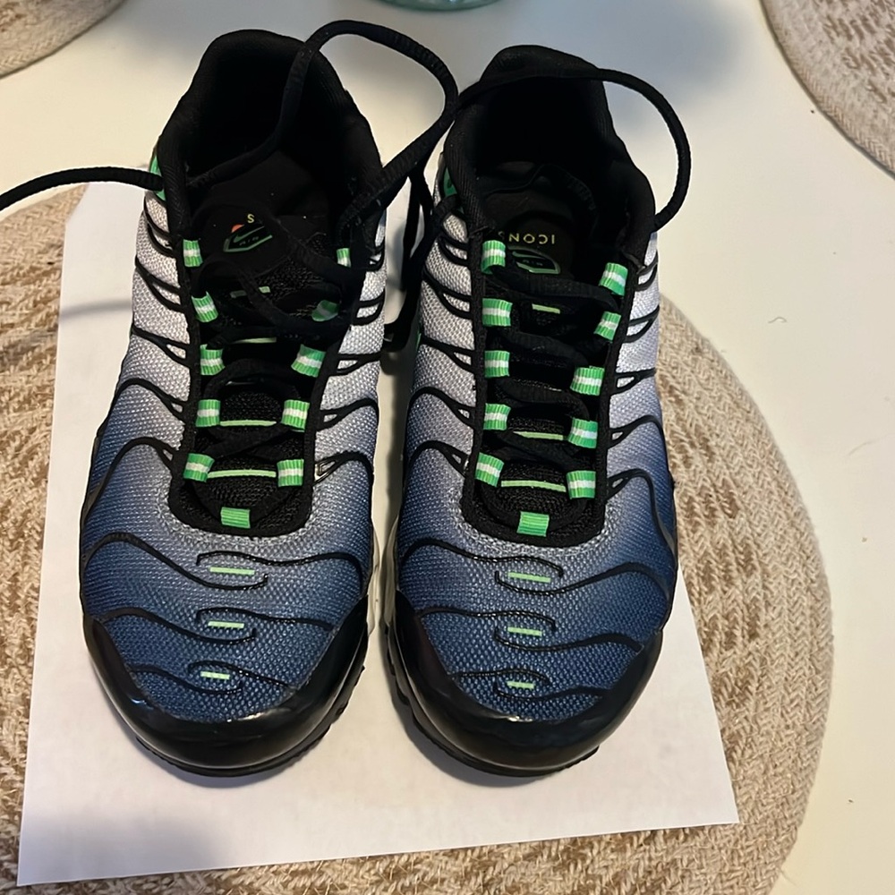 Nike Air Max Plus Remaster Boys